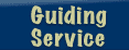 Guiding Service
